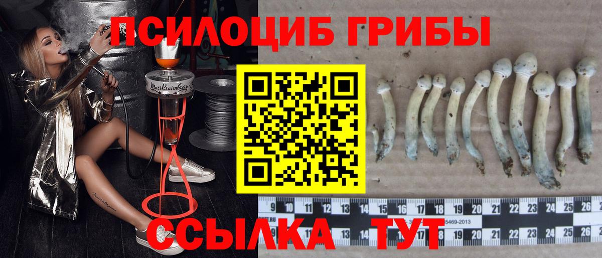 Псилоцибиновые грибы прущие грибы  Вход с VPN  Ефремов 